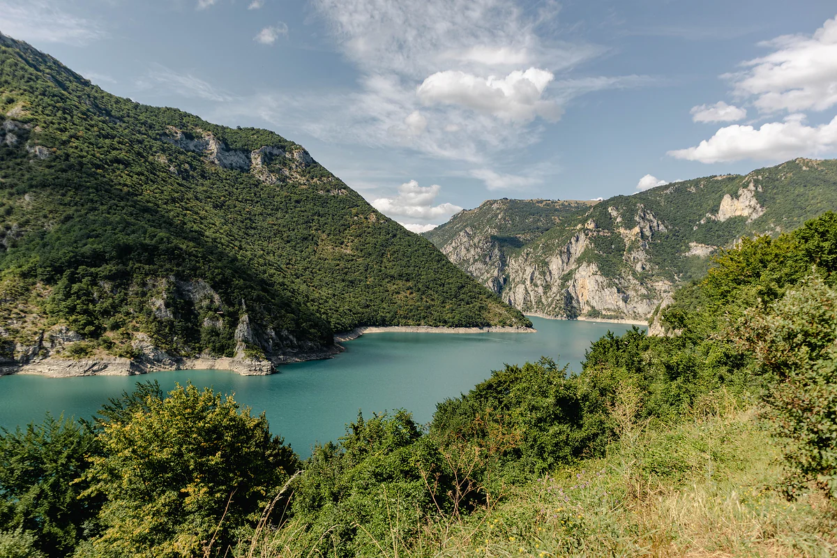 A bend of Piva Lake, pale turquoise between wooded slopes and grey limestone cliffs, seen from a hillside of green bushes under a blue sky with white clouds.