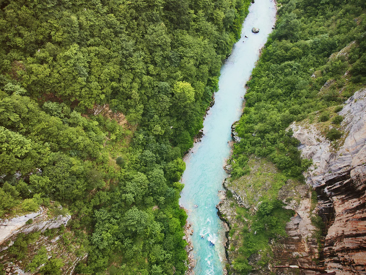 Looking straight down from above at the turquoise Tara running through a narrow canyon of dense green forest, with a strip of white water near the bottom and a reddish cliff on the right.